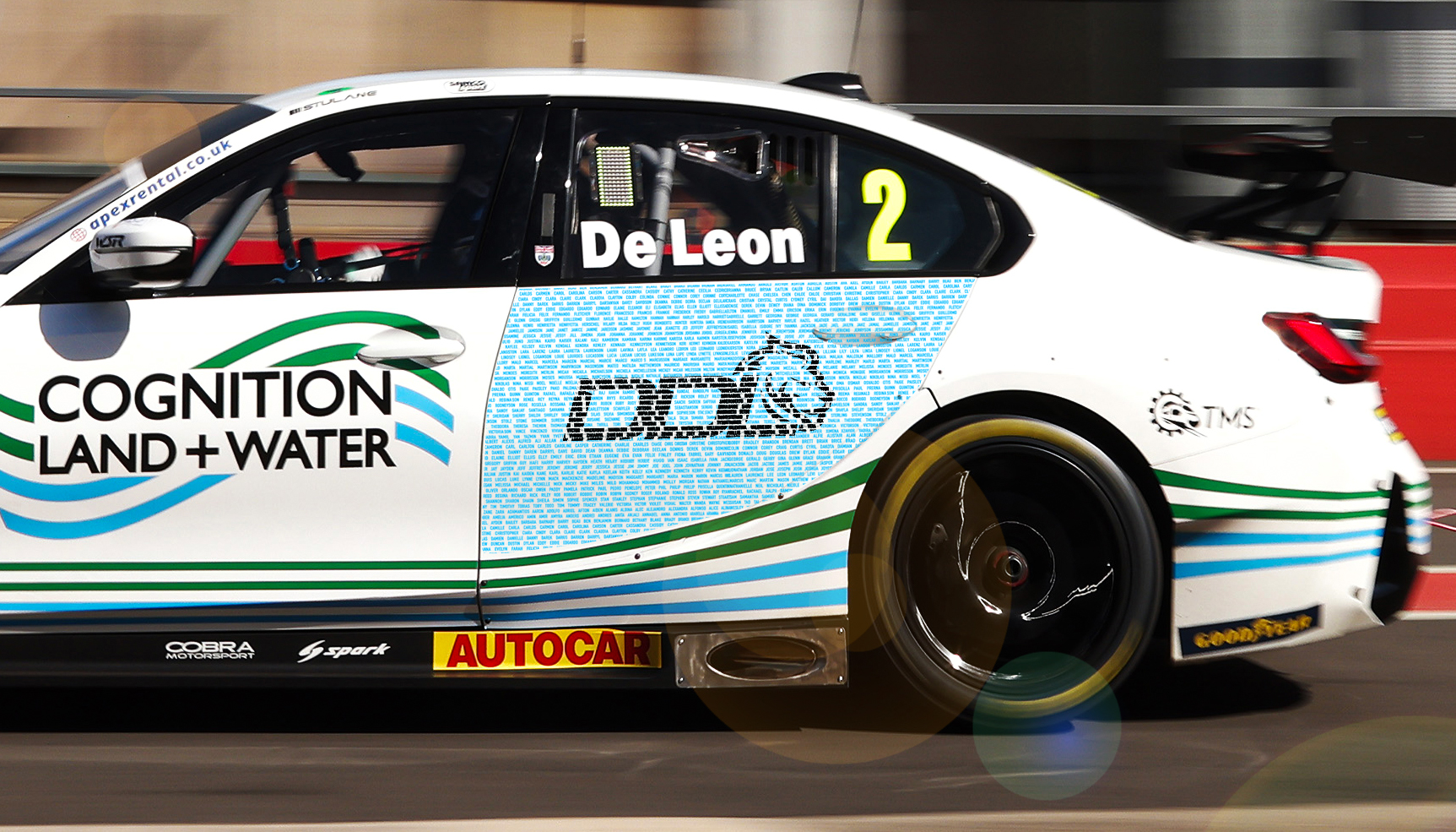Close-up of names printed on the rear door of a BTCC car